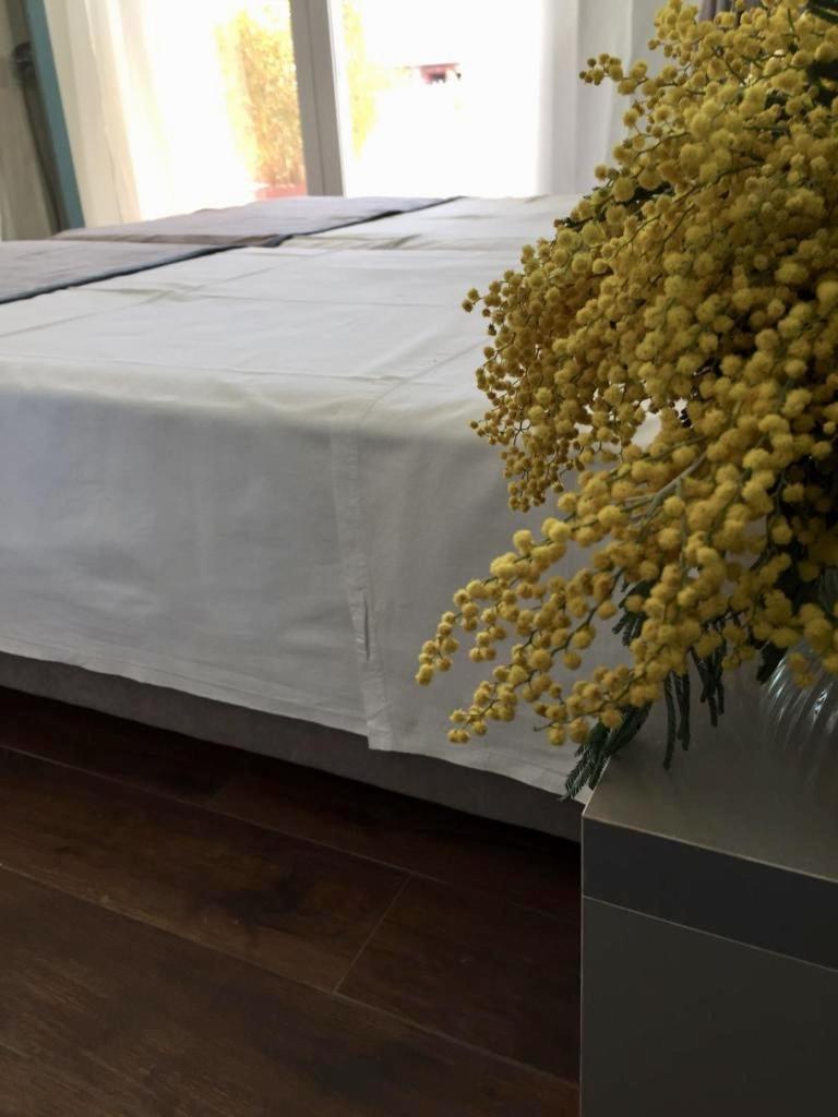 Amberyellowbnb Shkodër Exteriör bild